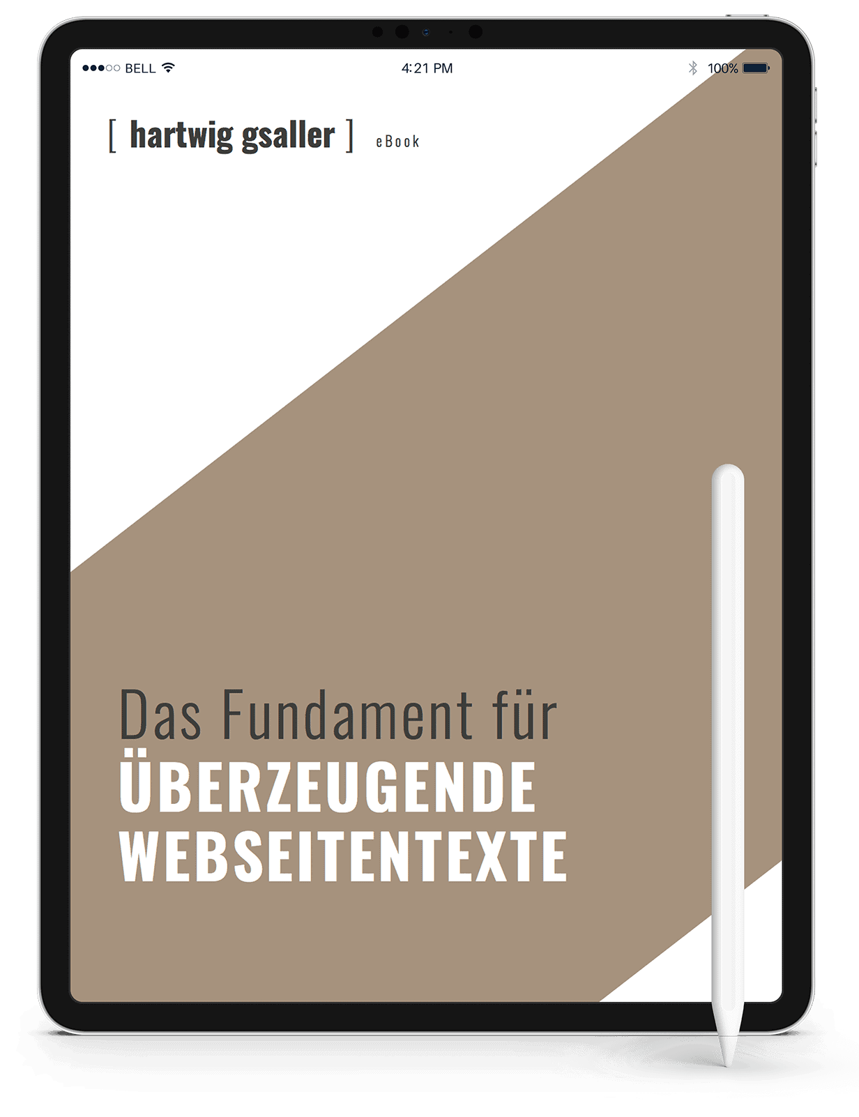 Das-Fundament-für-überzeugende-Webseitentexte